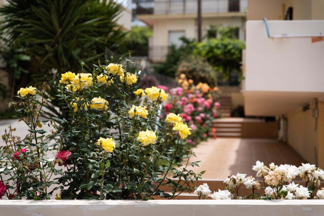 Apartament Dreamy Holidays Chania (Crete)